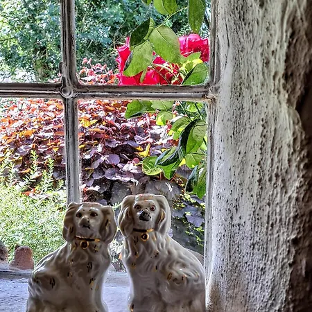 Sjaelland Апартаменты